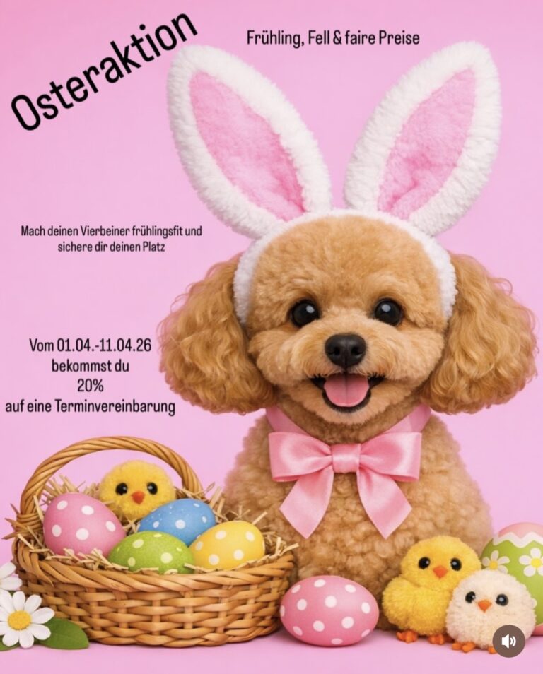 Vollmer Der Hundefriseur Hundefriseur The Groomer Rottenburg Oberndorf Herrenberg Tübingen DogDad Osteraktion