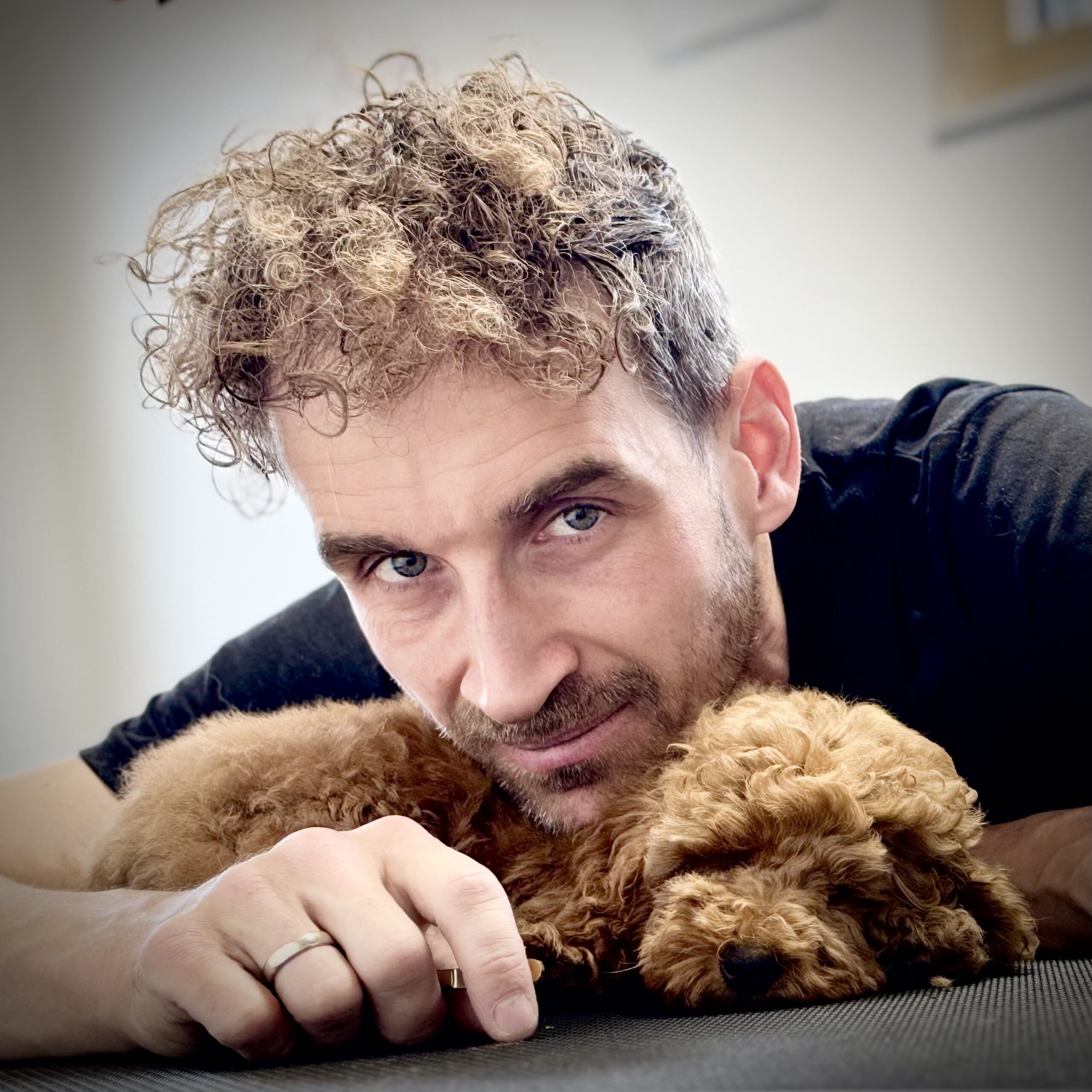 Vollmer Der Hundefriseur Hundefriseur The Groomer Rottenburg Oberndorf Herrenberg Tübingen DogDad